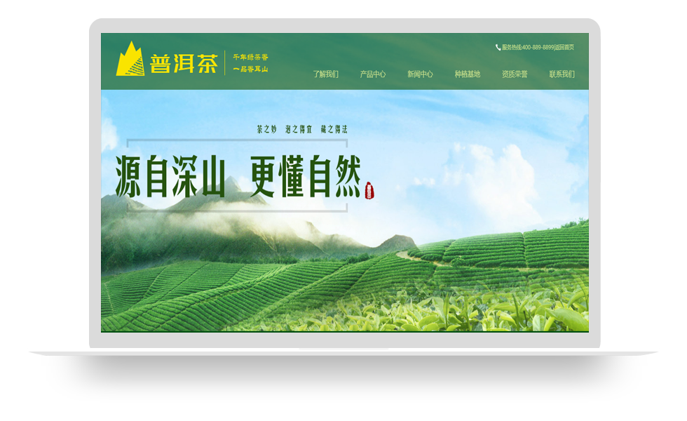 绿色茶叶种植基地网站